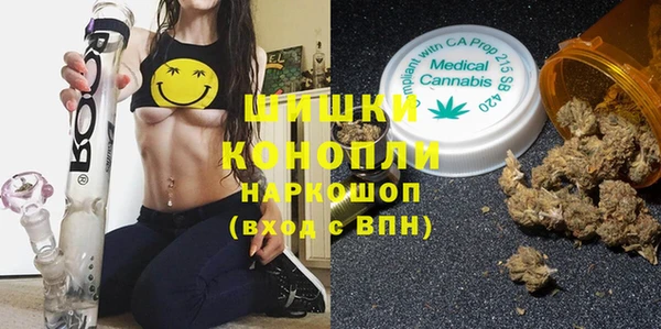 гидра Алексеевка