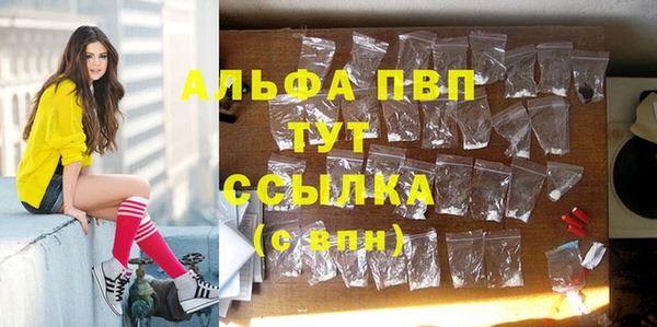 стаф Алексин
