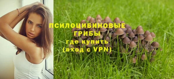 гидра Алексеевка