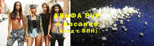 стаф Алексин